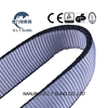 Polyester 2 Inch Tow Straps